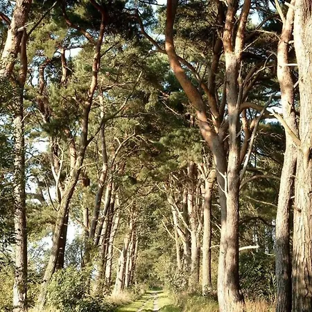 Spacious Houseboat In