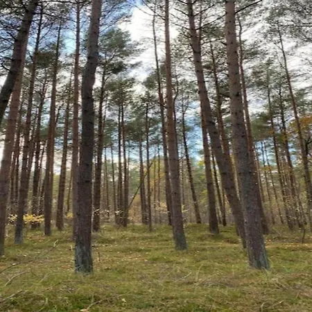 بوتيل Spacious Houseboat In